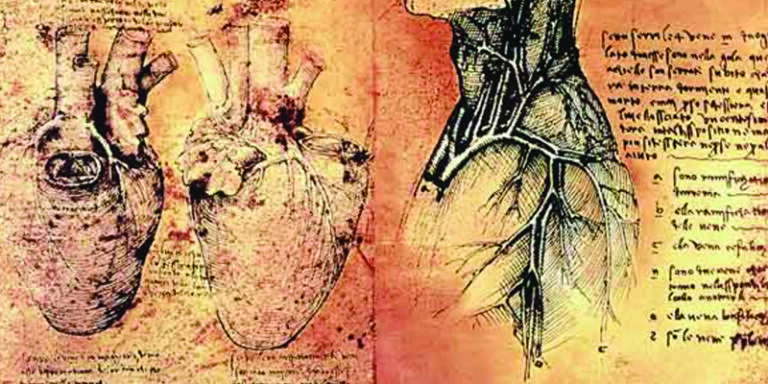cuoire l da vinci