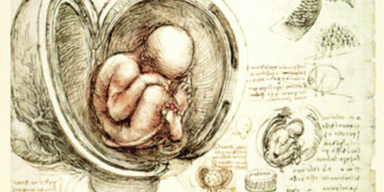da vinci_3